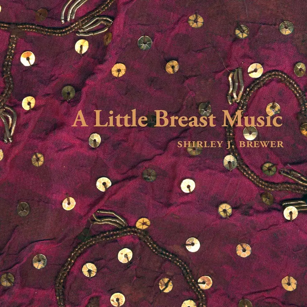 A Little Breast Music cover